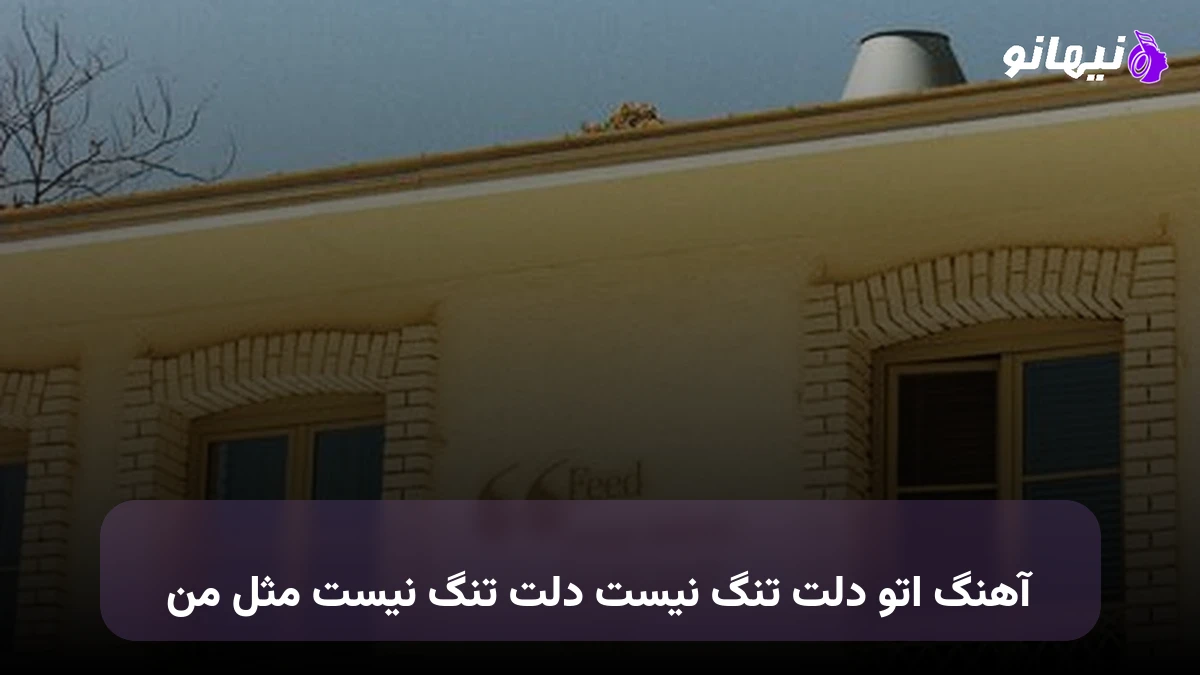 دانلود آهنگ تو دلت تنگ نیست دلت تنگ نیست مثل من